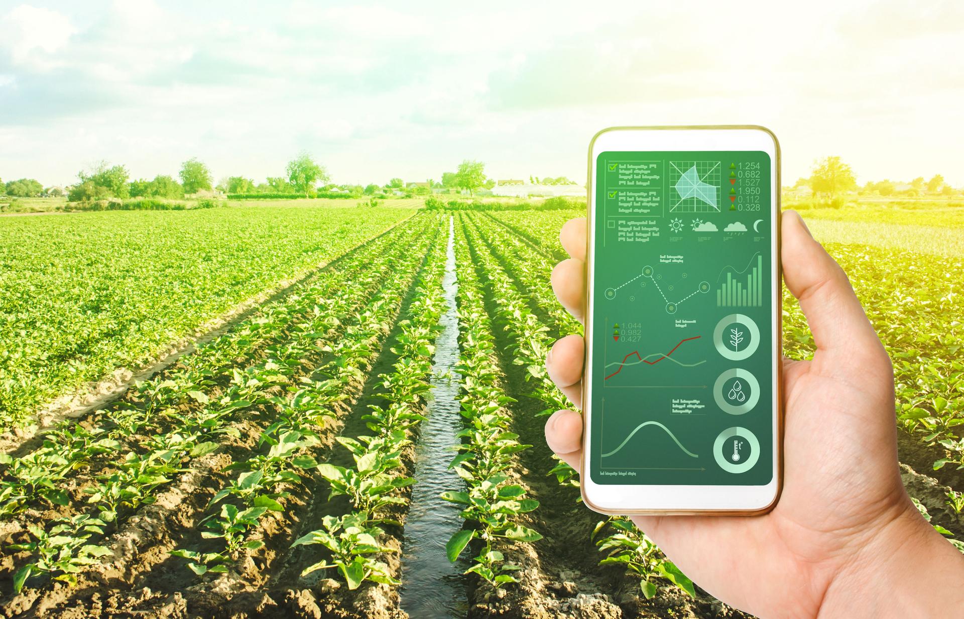 Innovative technologies in agriculture. The use of Internet of Things technologies in farming. Increase crop efficiency and quality, reduce greenhouse gas emissions and harm the environment.
