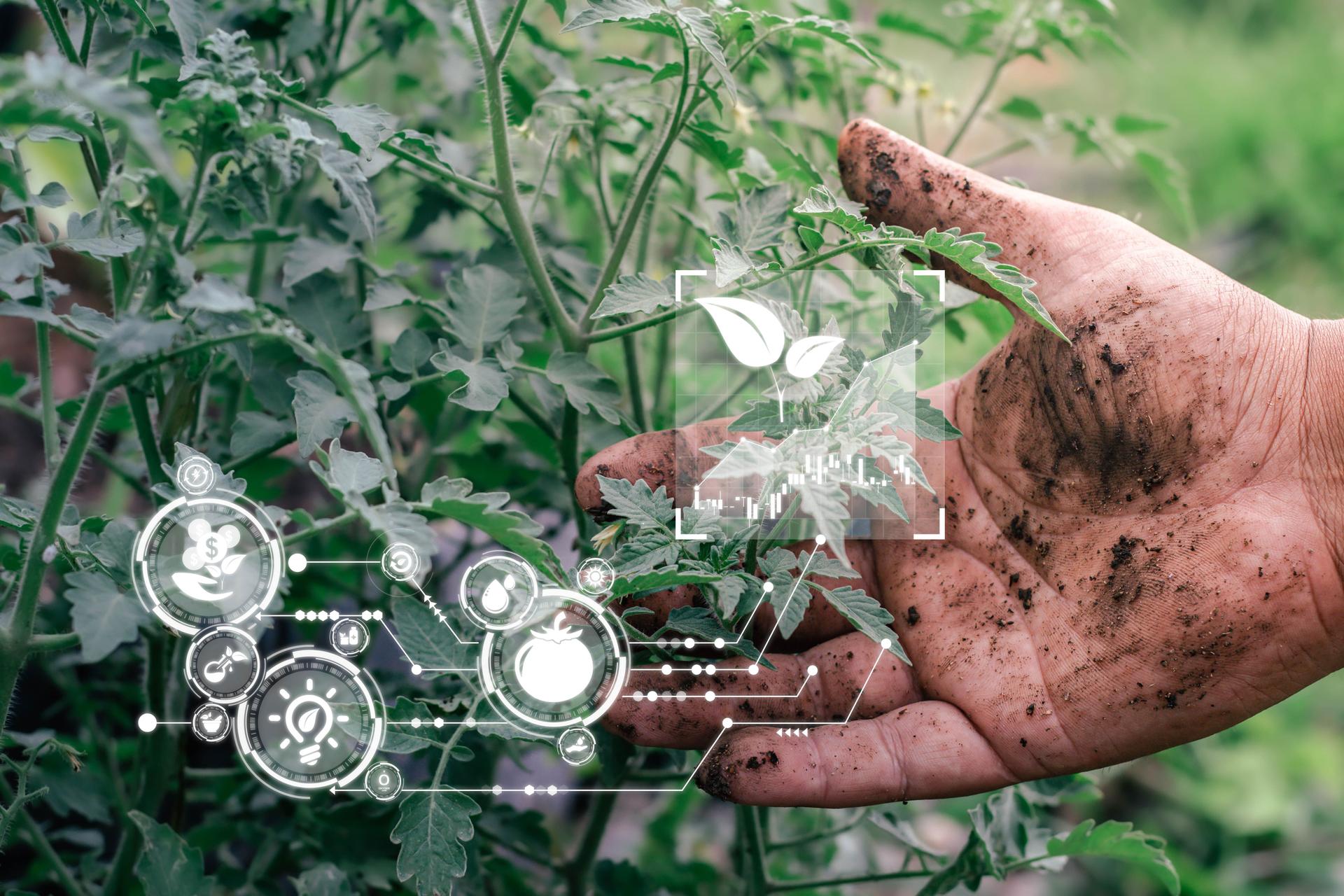 Medicina alternativa con concepto de tecnología Futuristic ai. Remedios herbarios naturales. Productos farmacéuticos orgánicos, interfaz de pantalla virtual inteligente sobre fondo de naturaleza suave borroso. Energía sostenible