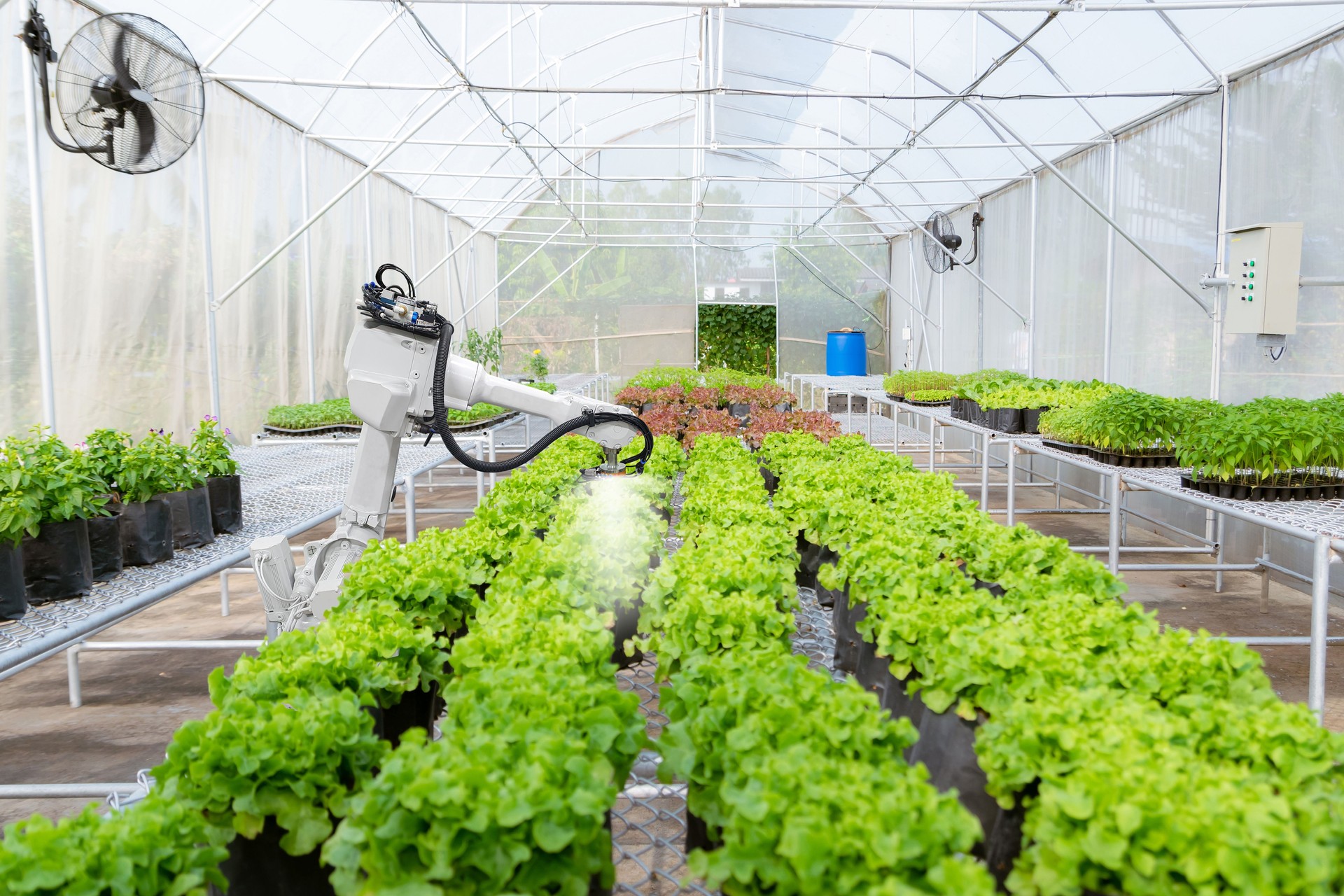 Agricultores robóticos inteligentes en la agricultura robot futurista automatización de robot de trabajo de agua de las plantas