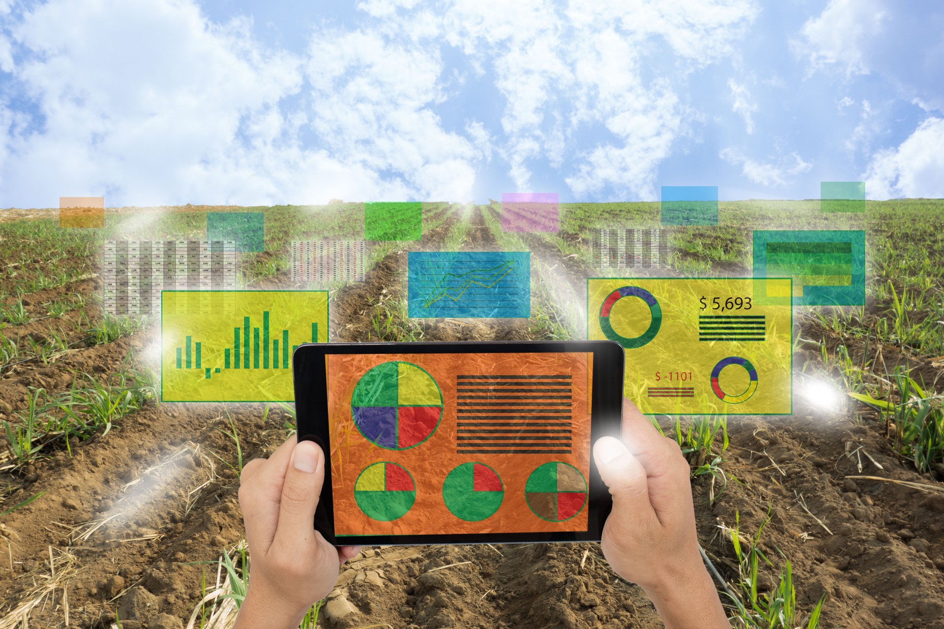 Internet de las cosas (concepto de la agricultura), smart farming