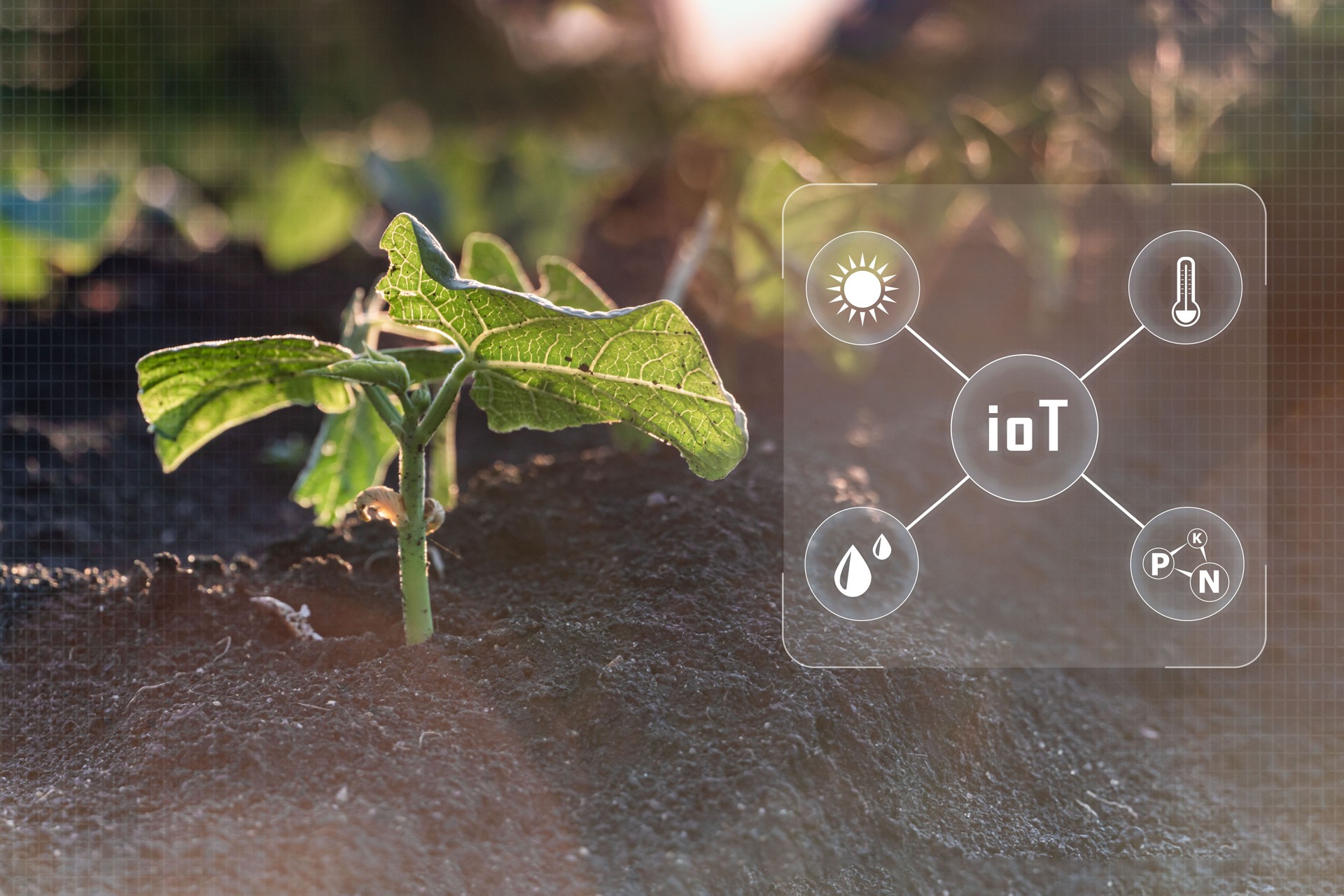 Internet de las cosas agricultura industrial, conceptos de agricultura inteligente, las diversas tecnologías agrícolas en el icono futurista.
